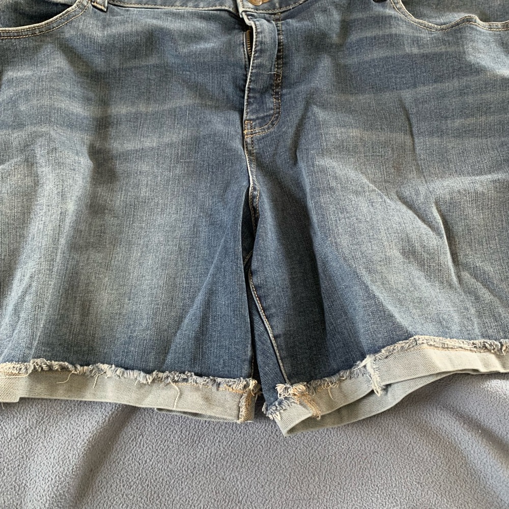 New no tags. Never worn shorts. Size 24
